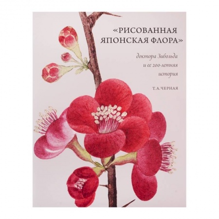 Живопись, книга Рисованная Японская Флора доктора Зибольда и ее 200-летняя история заказать