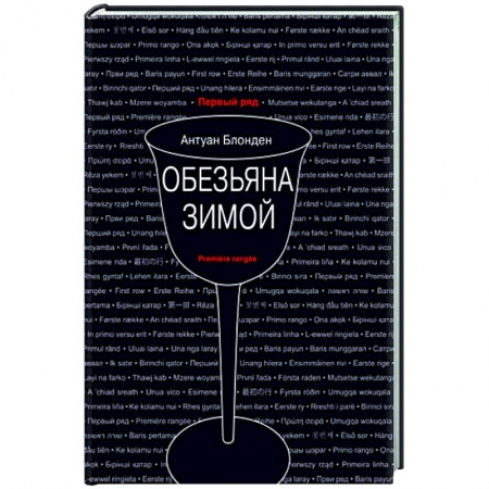 Зарубежная современная проза, книга Обезьяна зимой заказать