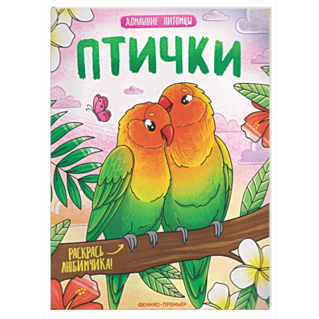 Животные. Птицы. Растения, книга Птички: книжка-раскраска заказать
