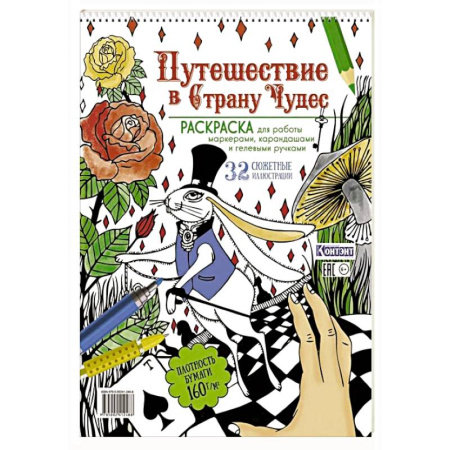 Герои зарубежных мультфильмов, книга Путешествие в Страну чудес. Раскраска заказать