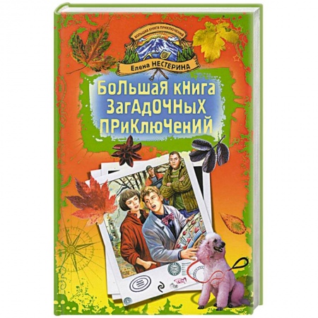 Книги, книга Большая книга загадочных приключений заказать