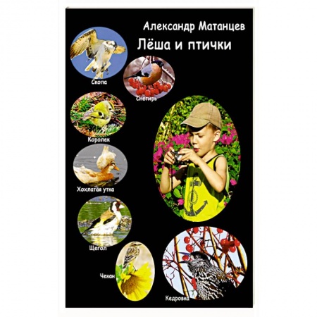 Русская поэзия для детей, книга Лёша и птички заказать