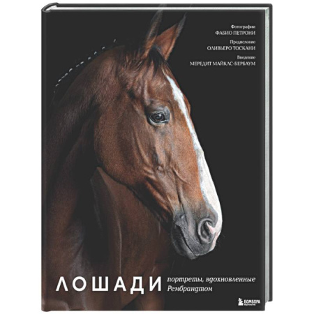 Другое, книга Лошади. Портреты, вдохновленные Рембрандтом. Эксклюзивный фотоальбом заказать