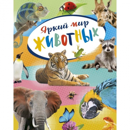 Животный и растительный мир, книга Яркий мир животных заказать