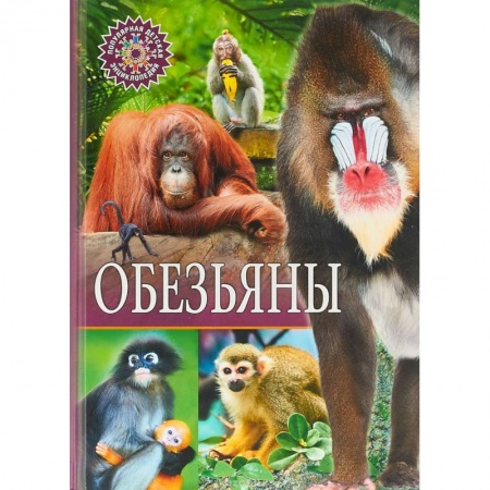 Животный и растительный мир, книга Обезьяны заказать