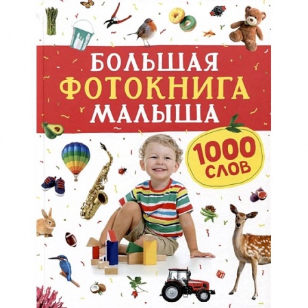 Знакомство с миром, развитие малыша, книга Большая фотокнига малыша. 1000 слов заказать