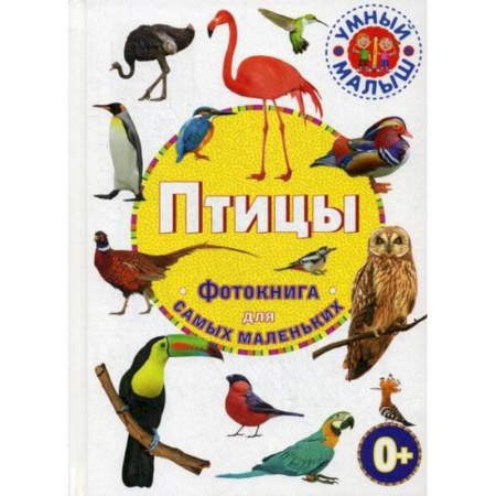 Животный и растительный мир, книга Птицы заказать