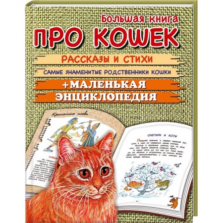 Книги, книга Большая книга про кошек заказать