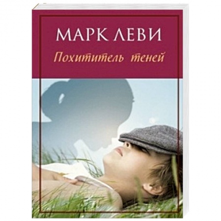 Книги, книга Похититель теней заказать