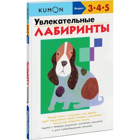 Развитие внимания и воображения, книга Увлекательные лабиринты заказать