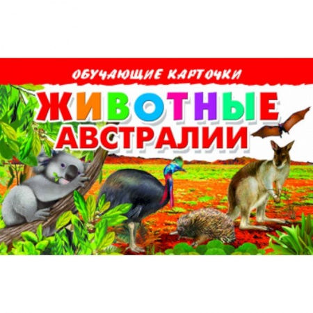 Книги, книга Карточки. Животные Австралии заказать