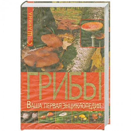 Книги, книга Грибы. Ваша первая энциклопедия заказать