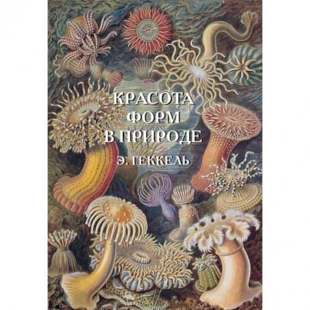 Зоология, книга Красота форм в природе заказать