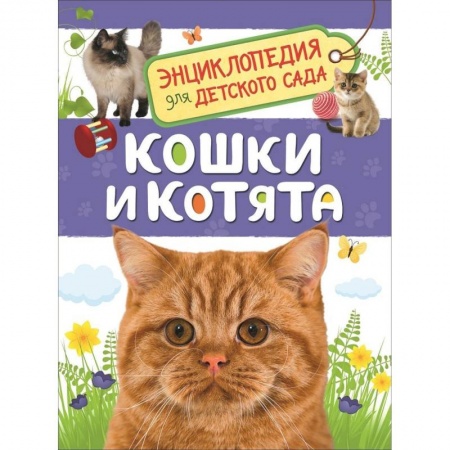 Животный и растительный мир, книга Кошки и котята заказать