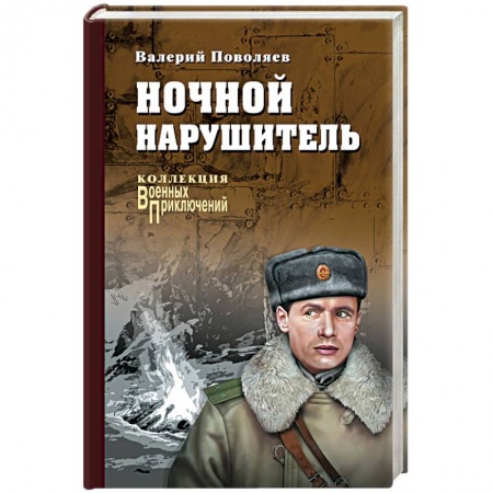 Исторический роман, книга Ночной нарушитель заказать