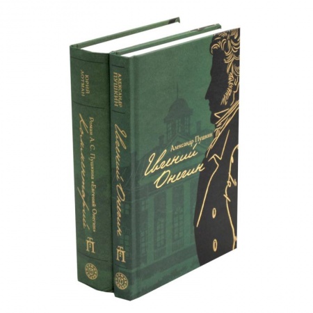 Русская классика, книга Евгений Онегин  В 2 кн заказать