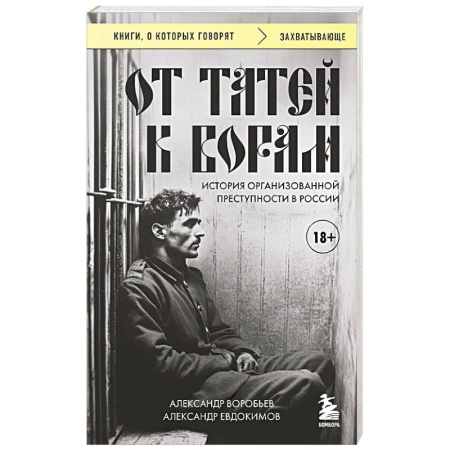Криминал, книга От татей к ворам: история организованной преступности в России. заказать