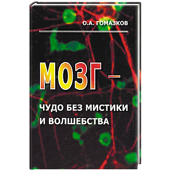 Мозг - чудо без мистики и волшебства Мозг - чудо без мистики и волшебства