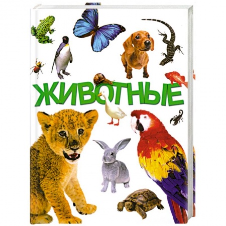 Книги, книга Животные заказать