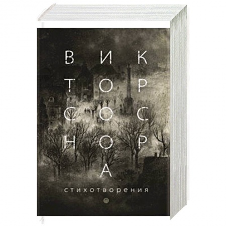 Русская поэзия, книга Стихотворения. Соснора В. А. заказать