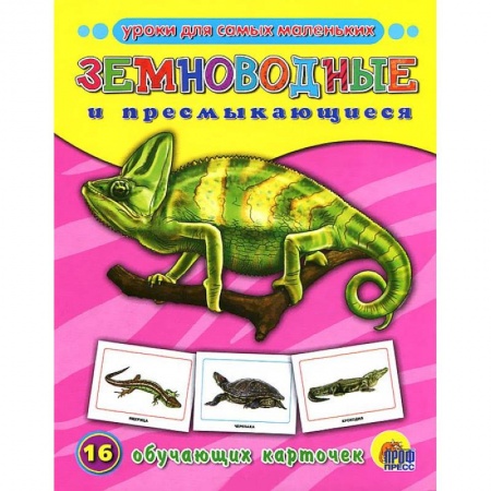 Книги, книга Земноводные и пресмыкающиеся. 16 обучающих карточек заказать