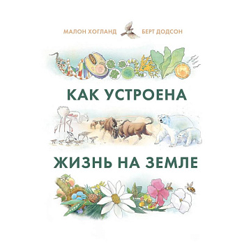Как устроена жизнь на Земле Как устроена жизнь на Земле