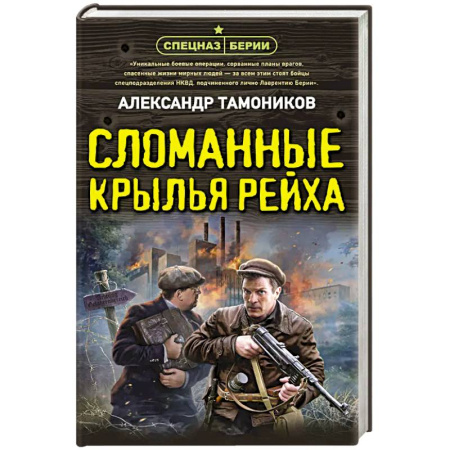 Боевики, военные, книга Сломанные крылья рейха заказать