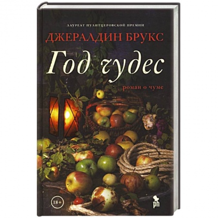 Исторический роман, книга Год чудес заказать