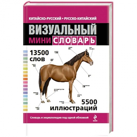 Книги, книга Китайско-русский русско-китайский визуальный мини-словарь заказать
