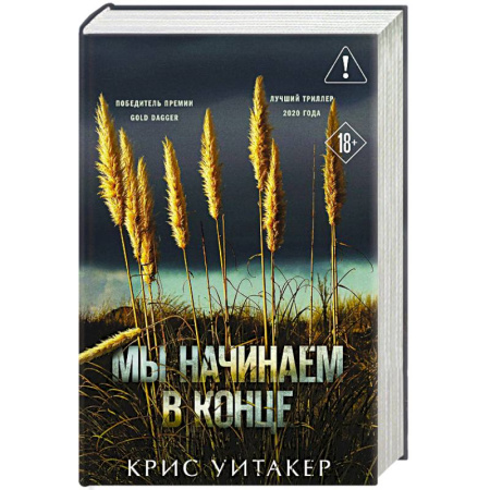 Зарубежный детектив, книга Мы начинаем в конце (формат клатчбук) заказать