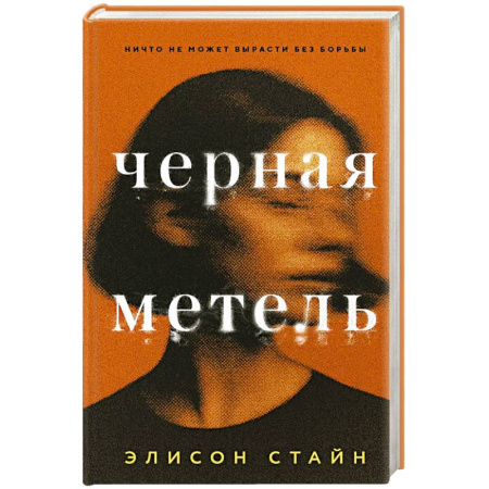Зарубежная современная проза, книга Черная метель заказать