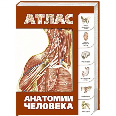 Книги, книга Атлас анатомии человека заказать