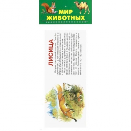 Животный и растительный мир, книга Мир животных. Набор карточек заказать