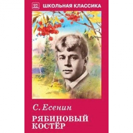 Русская поэзия для детей, книга Рябиновый костер заказать
