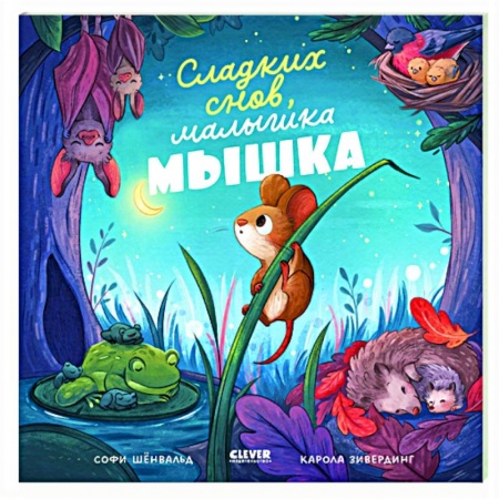 Книги для дошкольников (4-6 лет), книга Сладких снов, малышка мышка! заказать