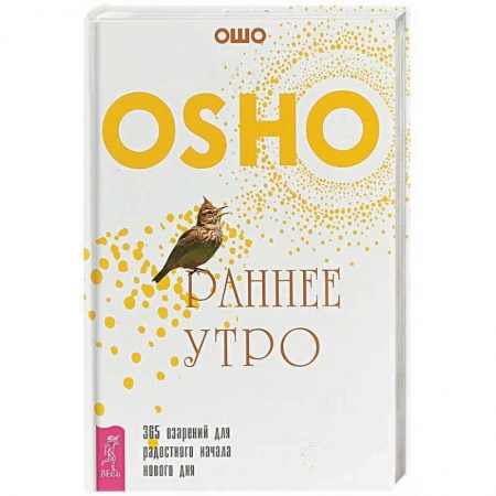 Книги, книга Раннее утро. 365 озарений для радостного начала нового дня заказать