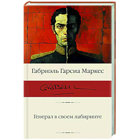 Зарубежная современная проза, книга Генерал в своем лабиринте заказать