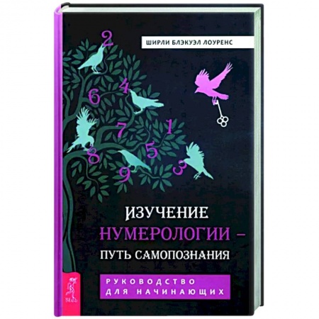 Хиромантия, нумерология, книга Изучение нумерологии — путь самопознания. Руководство для начинающих заказать