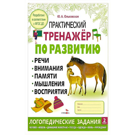 Общая подготовка к школе, книга Практический тренажер по развитию речи, внимания, памяти, мышления, восприятия. Выпуск 2. Рабочая тетрадь заказать