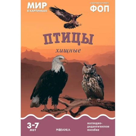 Животный и растительный мир, книга Птицы хищные: Наглядно-дидактическое пособие заказать