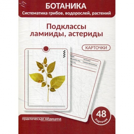Ботаника, книга Ботаника. Систематика грибов, водорослей, растений. Подклассы ламииды, астериды заказать