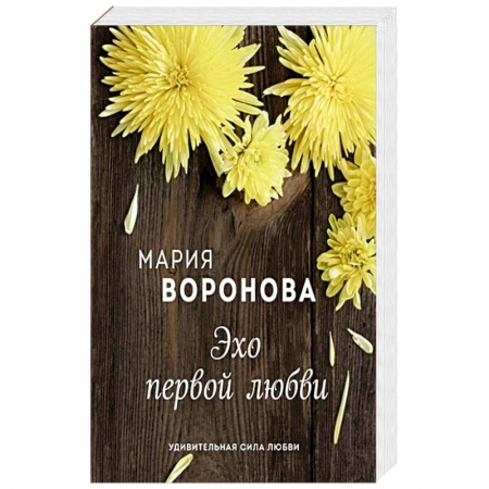 Любовный роман, книга Эхо первой любви заказать