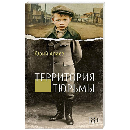 Русская современная проза, книга Территория тюрьмы заказать