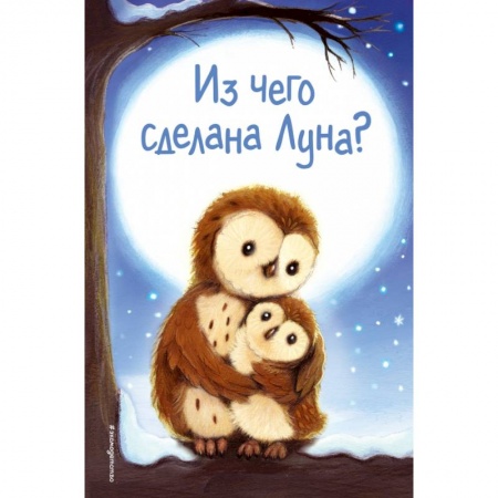 Зарубежная литература для детей, книга Из чего сделана Луна? заказать