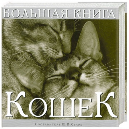 Книги, книга Большая книга кошек заказать