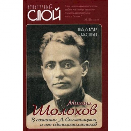 Дневники. Письма. Записки, книга Михаил Шолохов. В сознании А. Солженицына и его единомышленников заказать