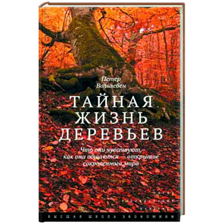 Ботаника, книга Тайная жизнь деревьев. Что они чувствуют, как они общаются — открытие сокровенного мира заказать