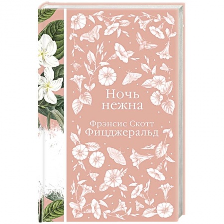 Зарубежная классика, книга Ночь нежна заказать