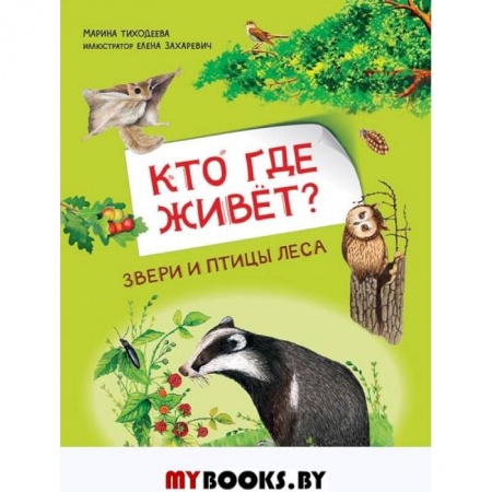 Животный и растительный мир, книга Кто где живёт? Звери и птицы леса заказать