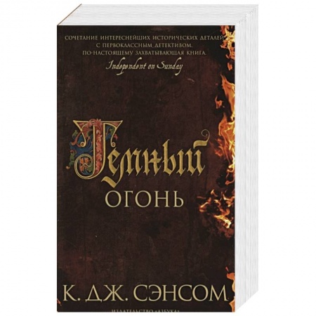 Исторический роман, книга Темный огонь заказать